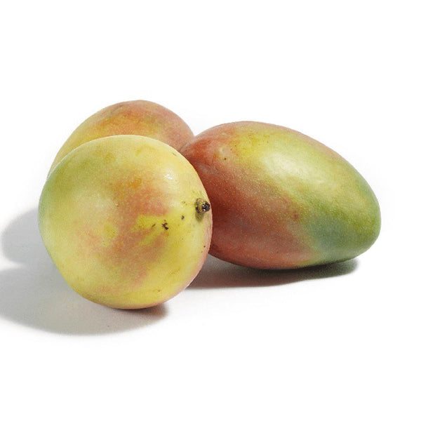 Mango tommy maduro 1.5 - 1.8kg (2 a 3 unidades) - MercaViva Medellín