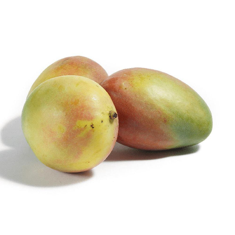 Mango tommy maduro 1.5 - 1.8kg (2 a 3 unidades) - MercaViva Medellín